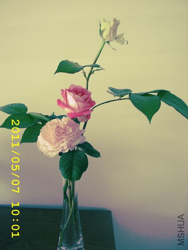 ��ת STA44152.JPG