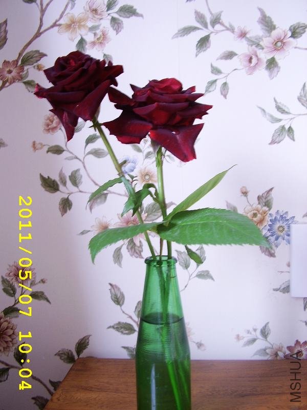 ��ת STA44159.JPG