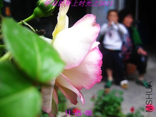 nEO_IMG_��Ƭ 003.jpg