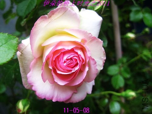 nEO_IMG_��Ƭ 002.jpg