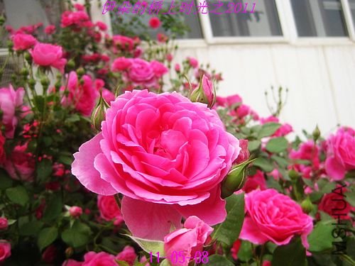 nEO_IMG_��Ƭ 093.jpg