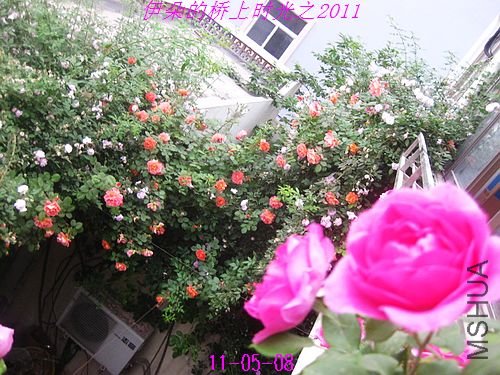 nEO_IMG_��Ƭ 131.jpg