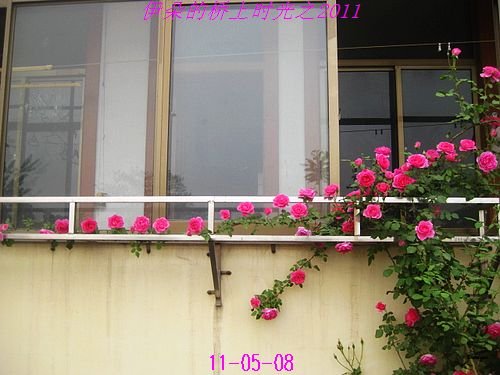 nEO_IMG_��Ƭ 101.jpg