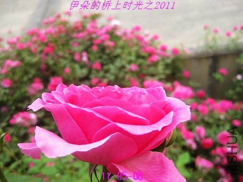 nEO_IMG_��Ƭ 043.jpg