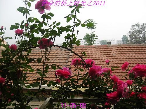 nEO_IMG_��Ƭ 041.jpg