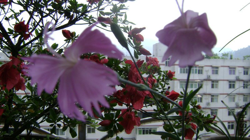 DSC03509.JPG