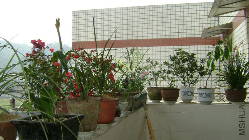 DSC03514.JPG