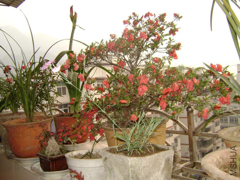 DSC03517.JPG
