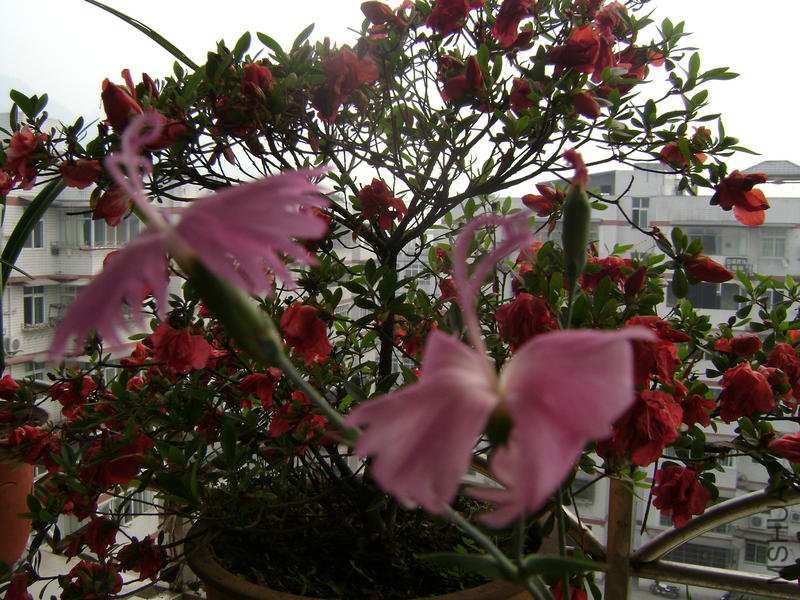DSC03521.JPG