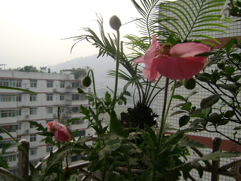 DSC03522.JPG