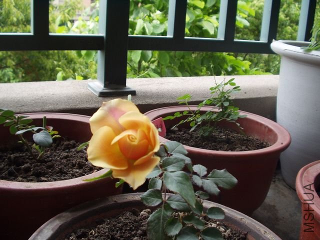 P1010001.JPG