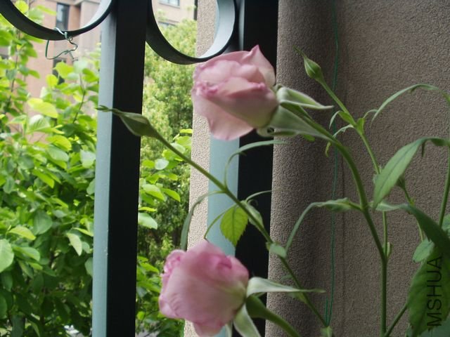 P1010005.JPG