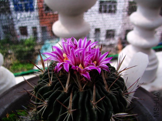 2011.05.09.�˸� 018.jpg