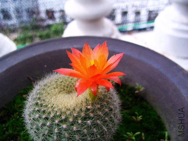 2011.05.09.�˸� 016.jpg