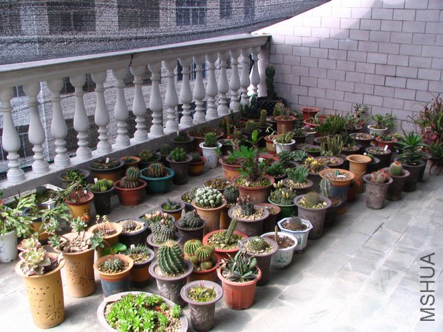 2011.05.09.�˸� 029.jpg