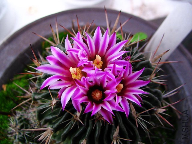 2011.05.09.�˸� 021.jpg