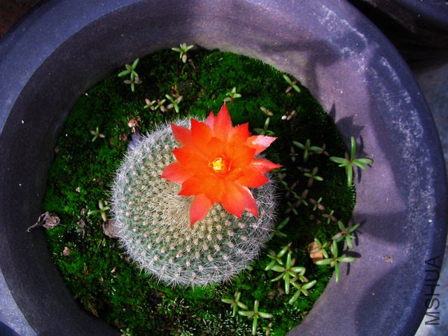 2011.05.09.�˸� 009.jpg