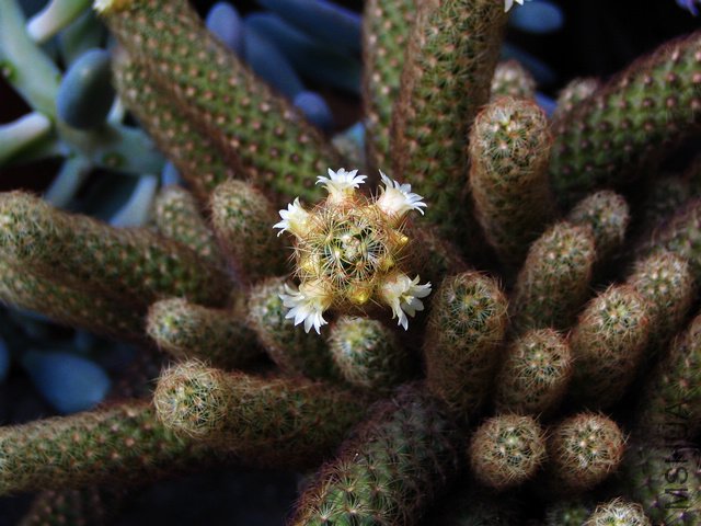 2011.05.09.�˸� 040.jpg