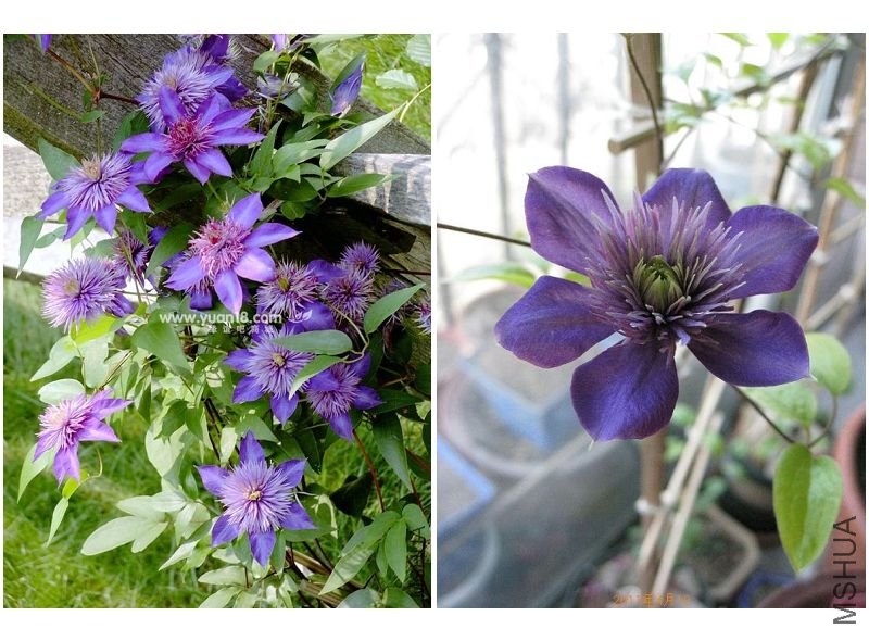 C0092N ����-�Ա�.jpg