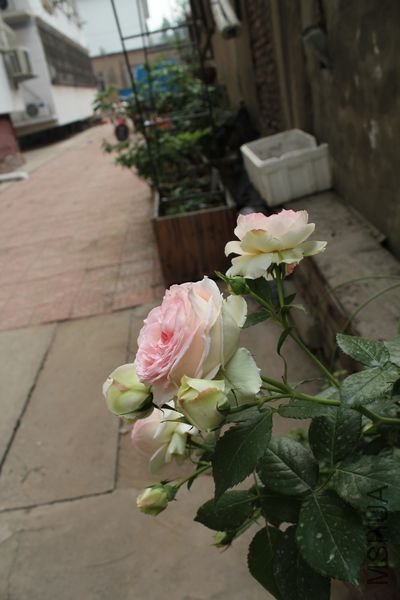 ��Ƭ 078.jpg