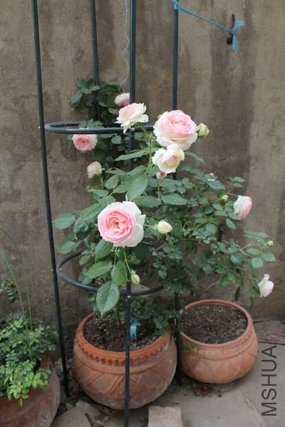 ��Ƭ 082.jpg