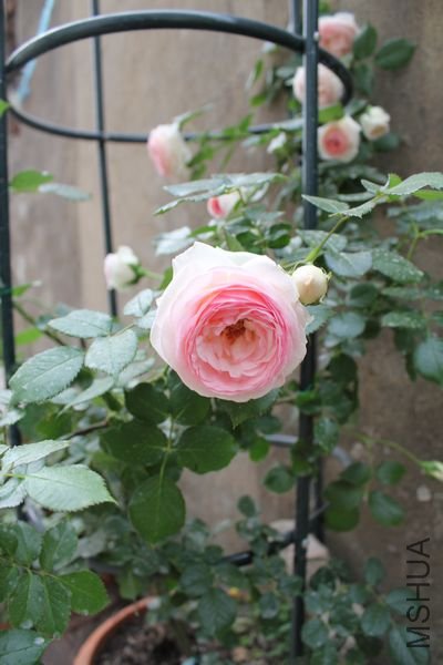 ��Ƭ 080.jpg