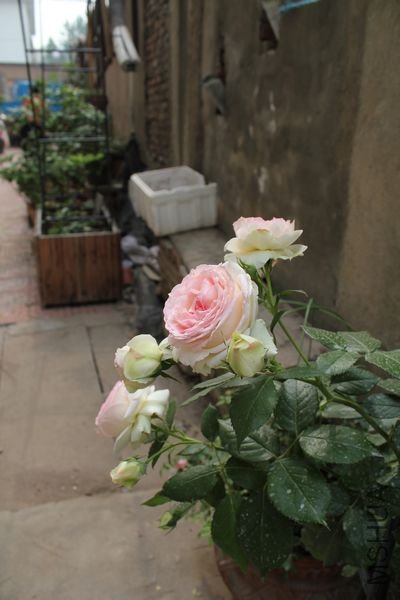 ��Ƭ 079.jpg