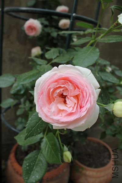 ��Ƭ 075.jpg
