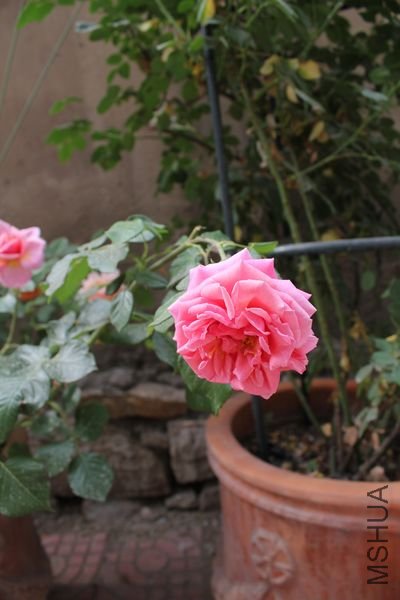 ���޹�.jpg
