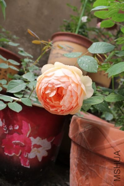 ��Ƭ 069.jpg