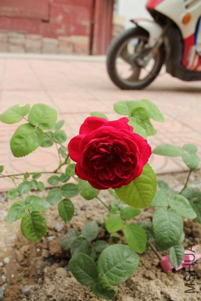 ��Ƭ 084.jpg