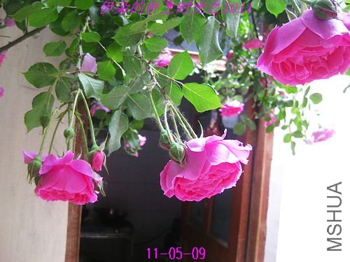 nEO_IMG_��Ƭ 286.jpg