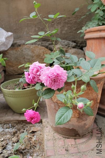 ��Ƭ 092.jpg