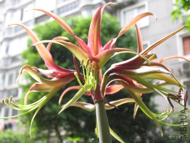 ���� 008.JPG