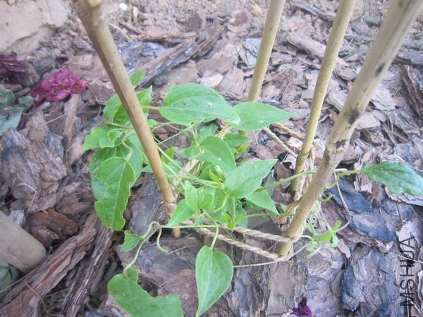 ˮ����Ȫ��Ƭ 010.jpg