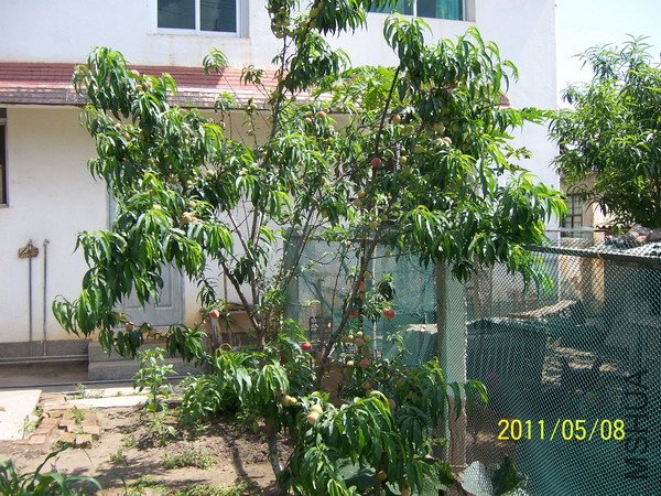 20110509 014.jpg