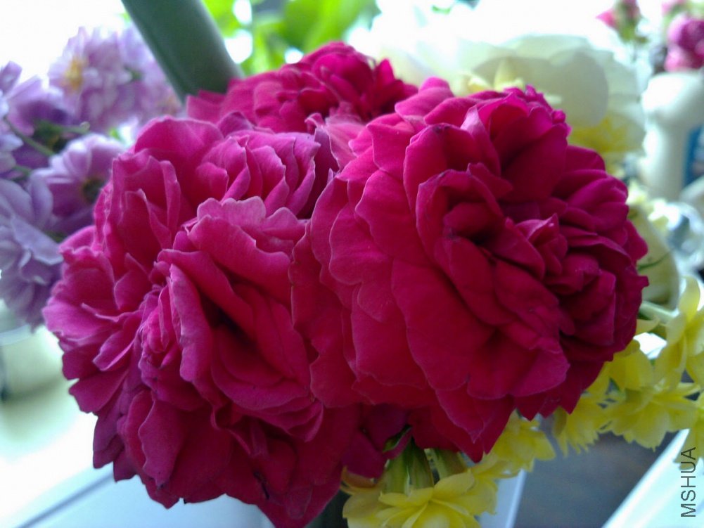 20110509723.jpg