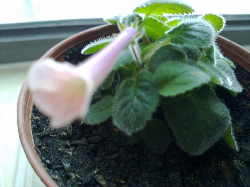 20110509718.jpg