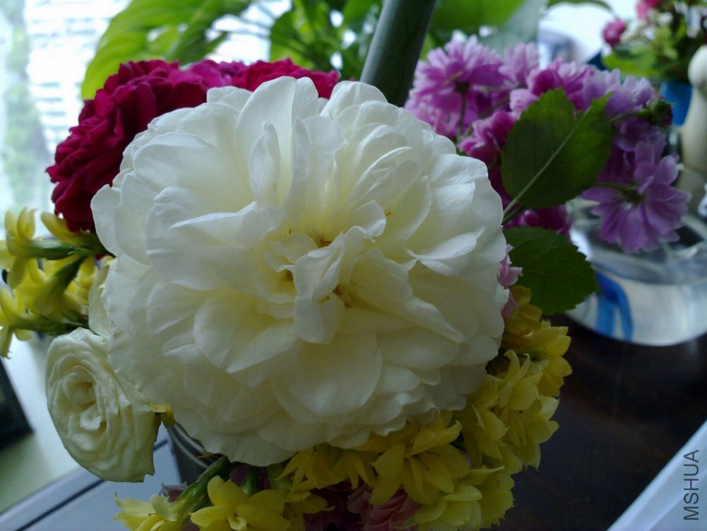 20110509724.jpg