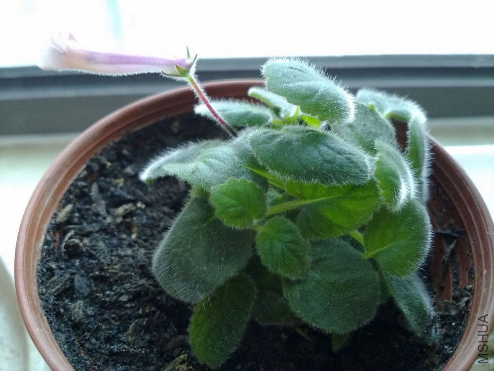 20110509717.jpg
