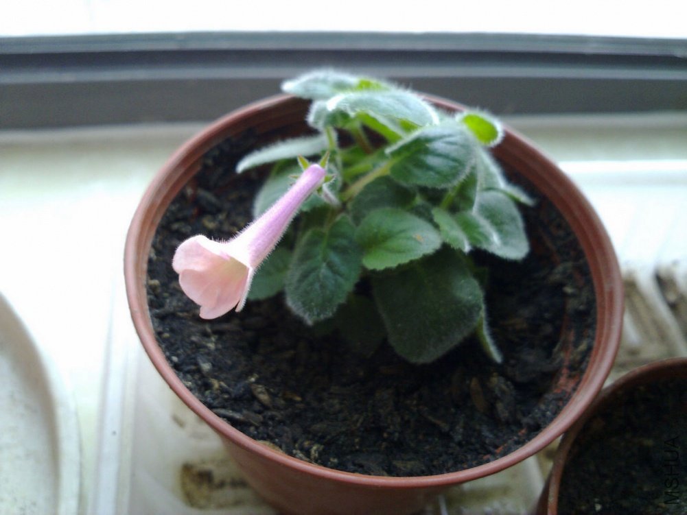 20110509719.jpg