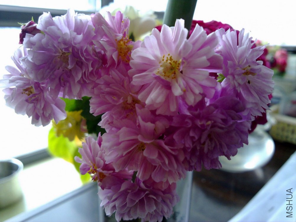 20110509720.jpg