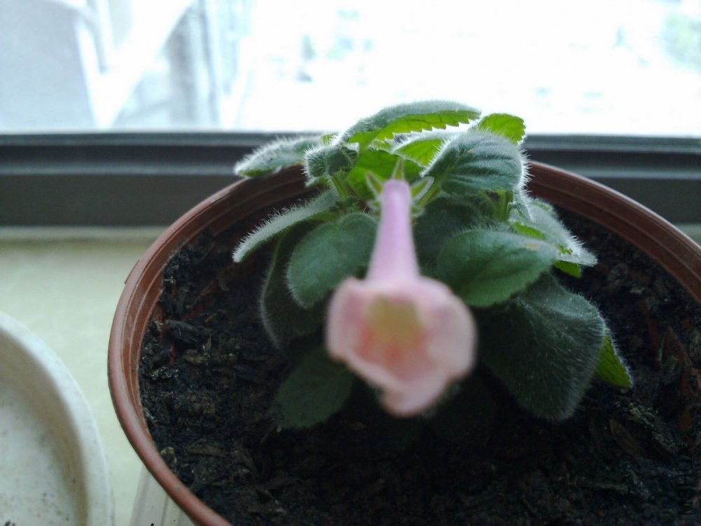 20110509716.jpg