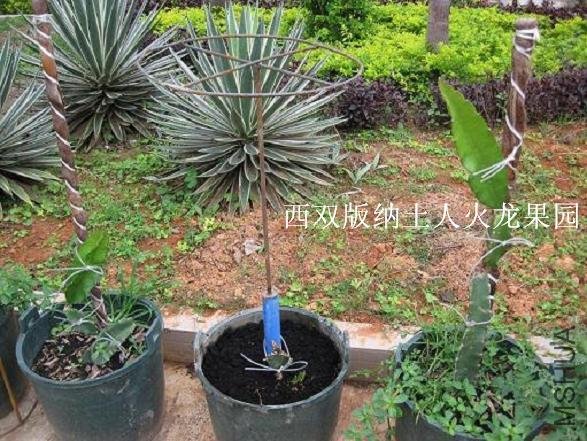 ���� 6������Ӧ��.jpg