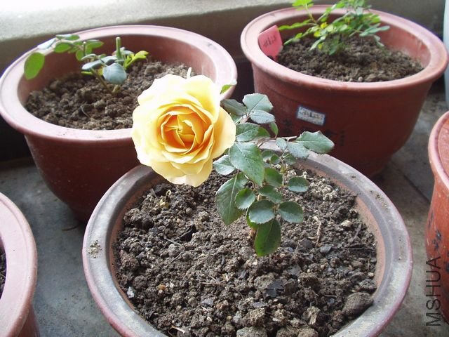 P1010007.JPG