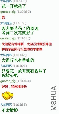 111.jpg