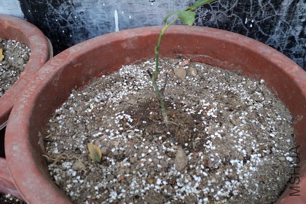 ��Ƭ 225_������С.jpg