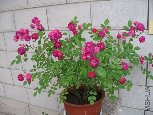 ��Ƭ 134_��С��С.jpg