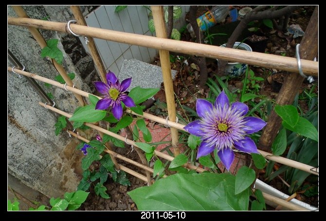 DSCF0026.JPG