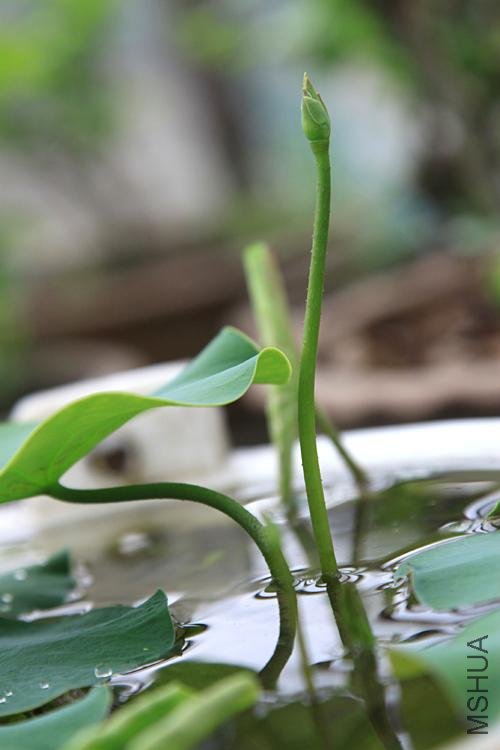 ���� �ɻ�5.JPG